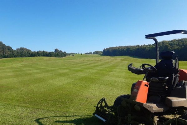 Sæsonansat- og/eller greenkeeper elev(er) søges